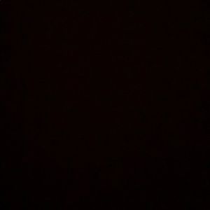 Meet your Posher, Darius